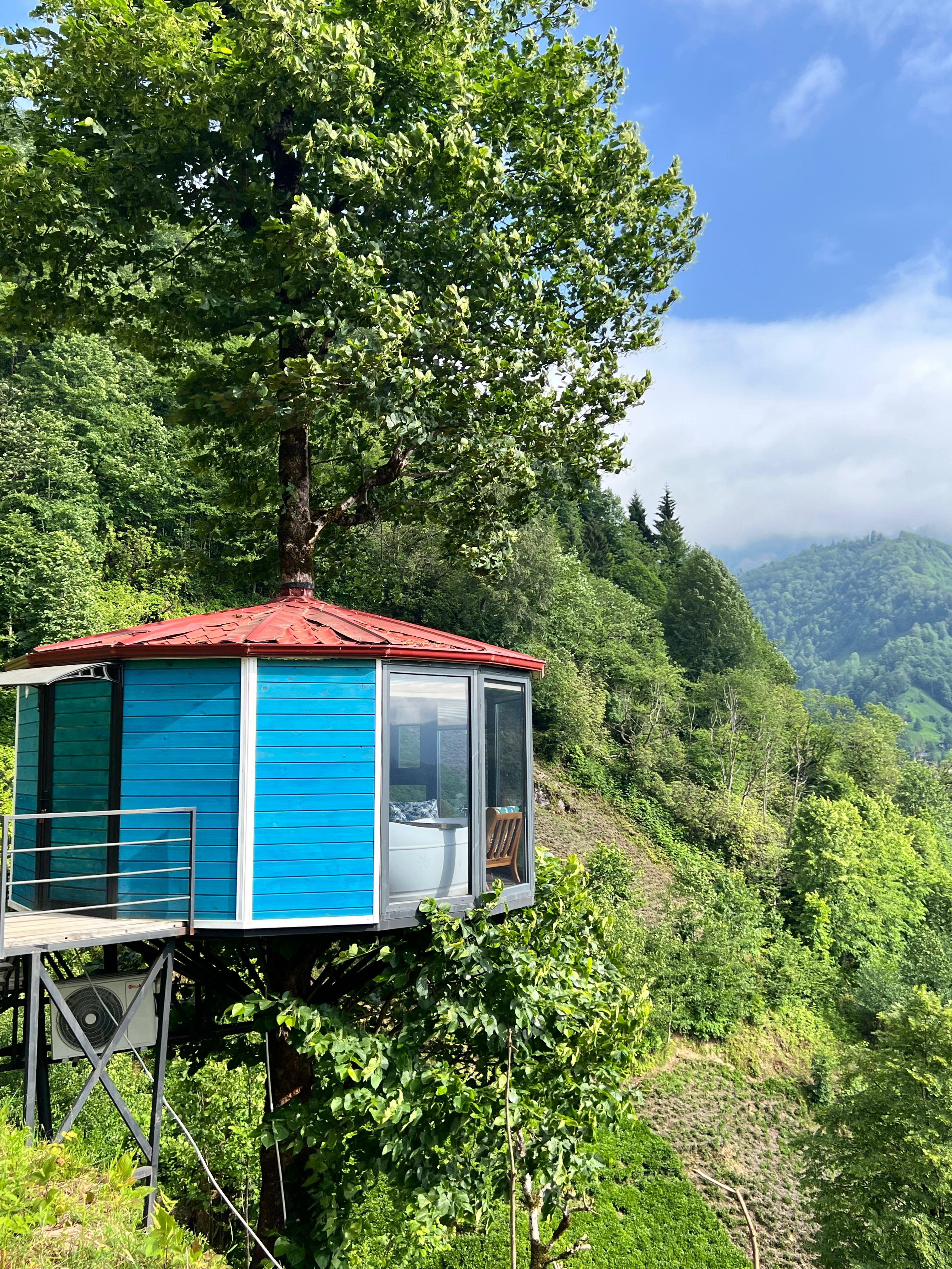 Ağaç Evi